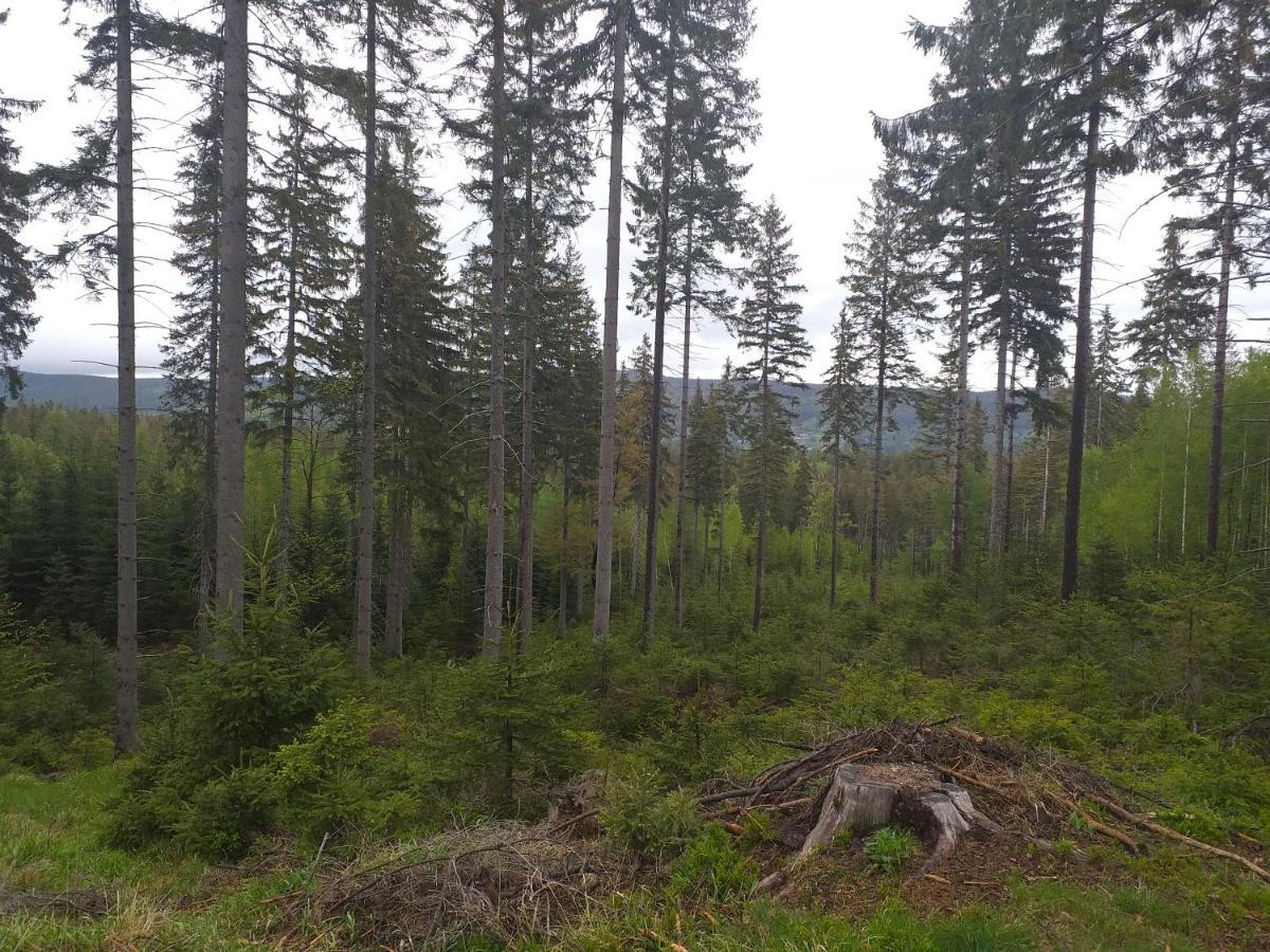 Apartament Przy Szlaku Szklarska Poręba Buitenkant foto